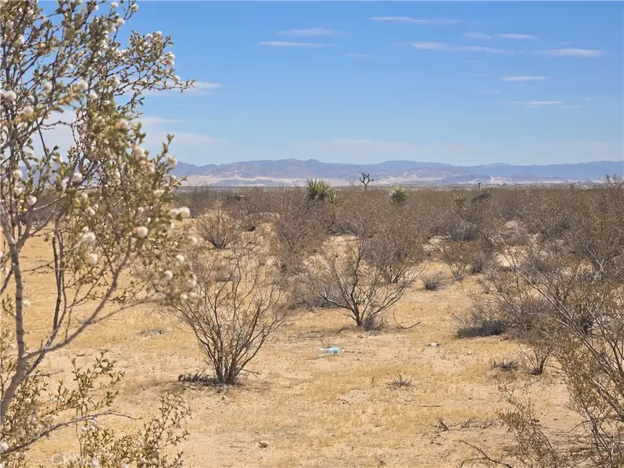1577 Mcgarry, Joshua Tree, CA 92252 - #3