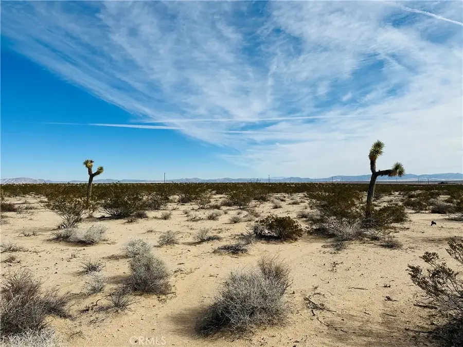 1234 Desert Lily, Joshua Tree, CA 92252 - #2