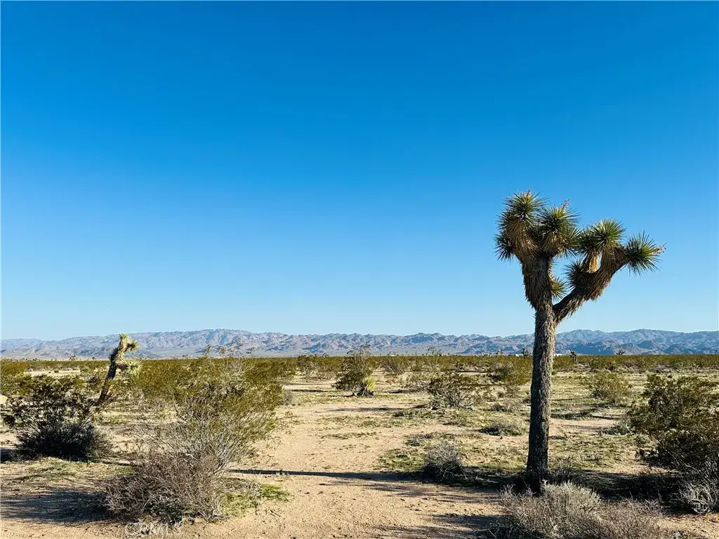1974 Sunset, Joshua Tree, CA 92252 - #1