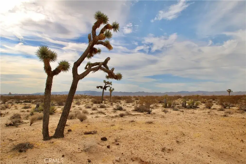 0 Cielito, Joshua Tree, CA 92252 - #1