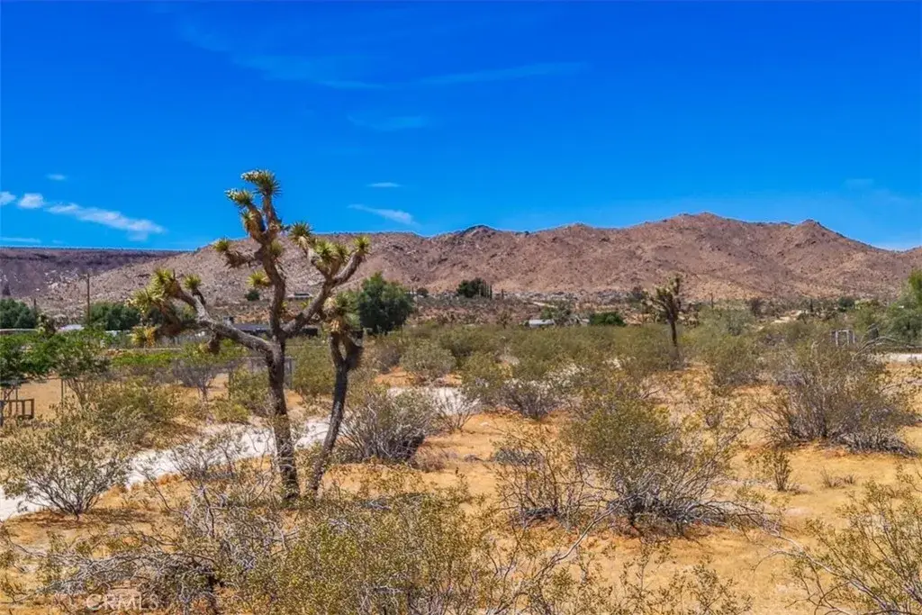 55926 Tananger, Yucca Valley, CA 92284 - #1