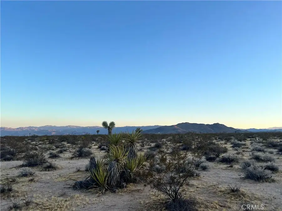 1010 Celeste, Joshua Tree, CA 92252 - #2