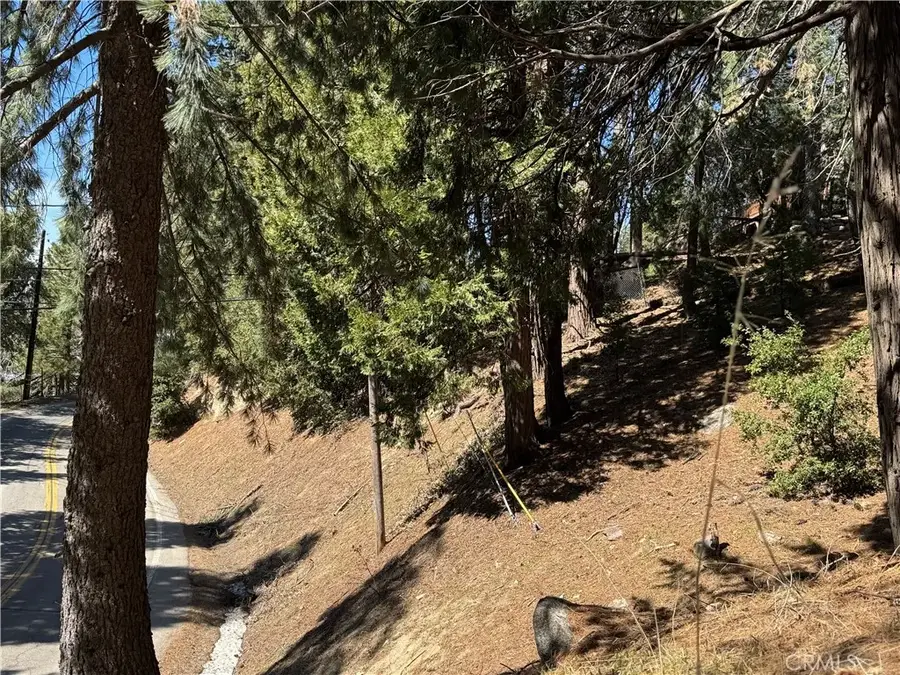 0 North, Twin Peaks, CA 92391 - #3