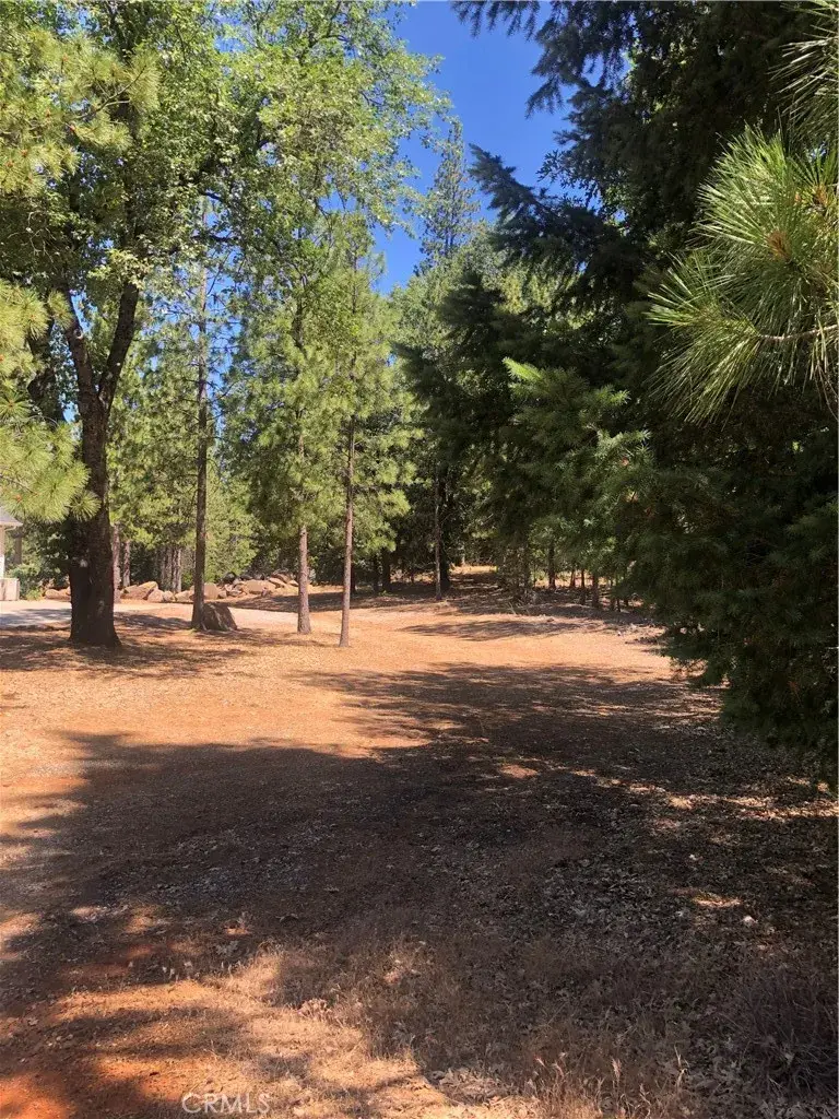 8833 Fox, Cobb, CA 95426 - Image #2