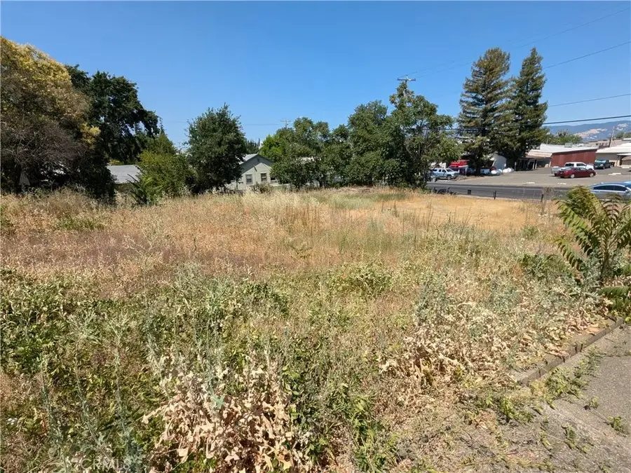 455 N Forbes, Lakeport, CA 95453 - Image #2