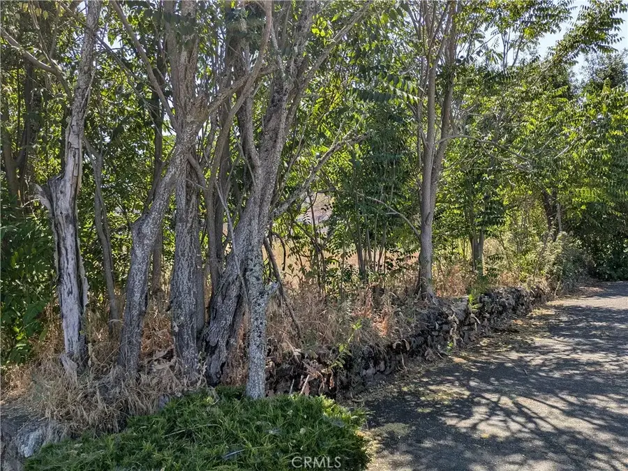 220 4th, Lakeport, CA 95453 - Image #2