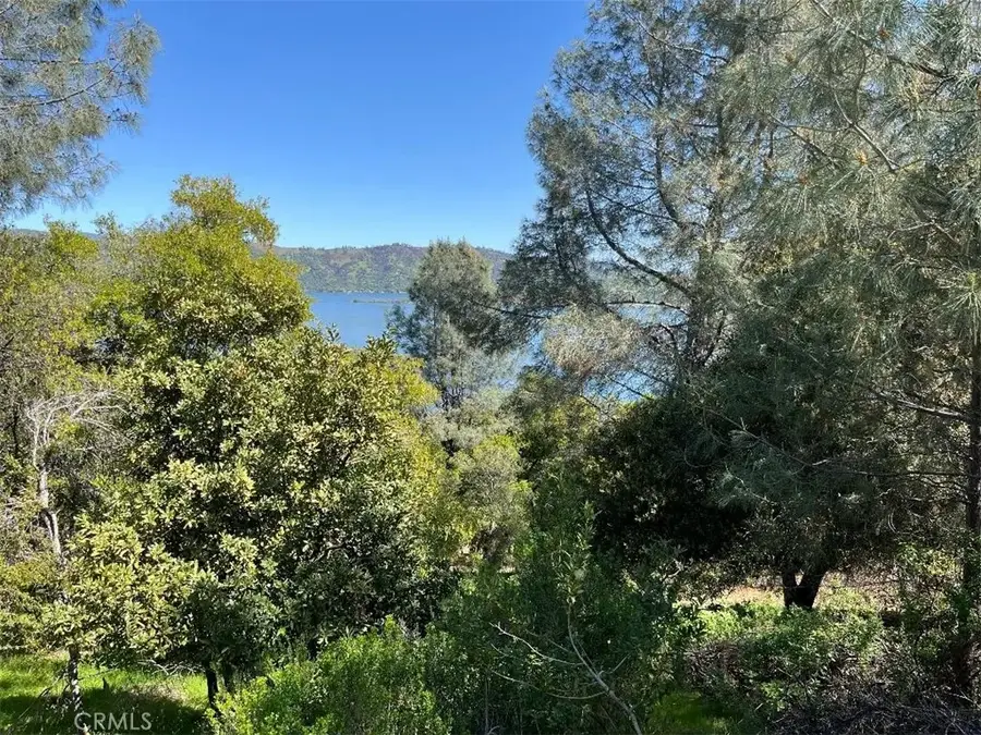 8452 Soda Bay, Kelseyville, CA 95451 - #3