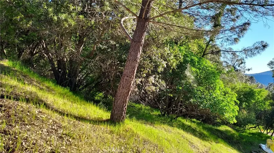 2891 San Joaquin, Clearlake, CA 95424 - Image #2