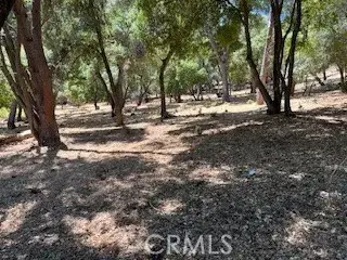 #2