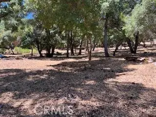 #3