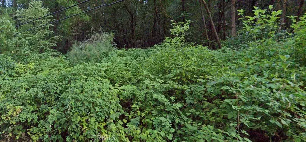 #1