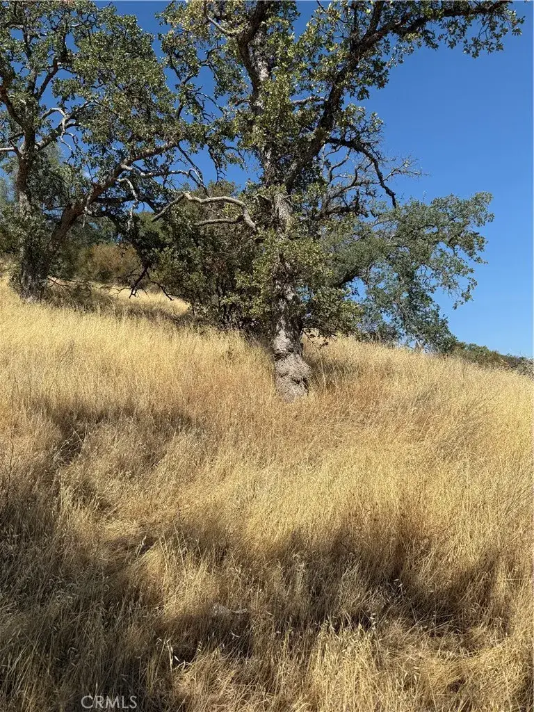 4722 Arroyo, Clearlake, CA 95422 - Image #1