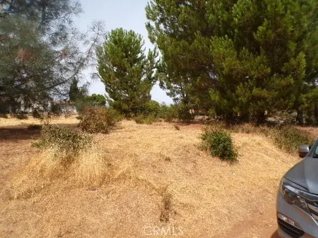 #3