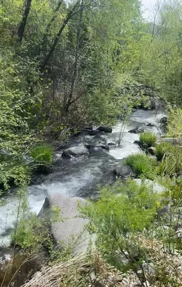 11655 Casa Grande, Middletown, CA 95461 - Image #1