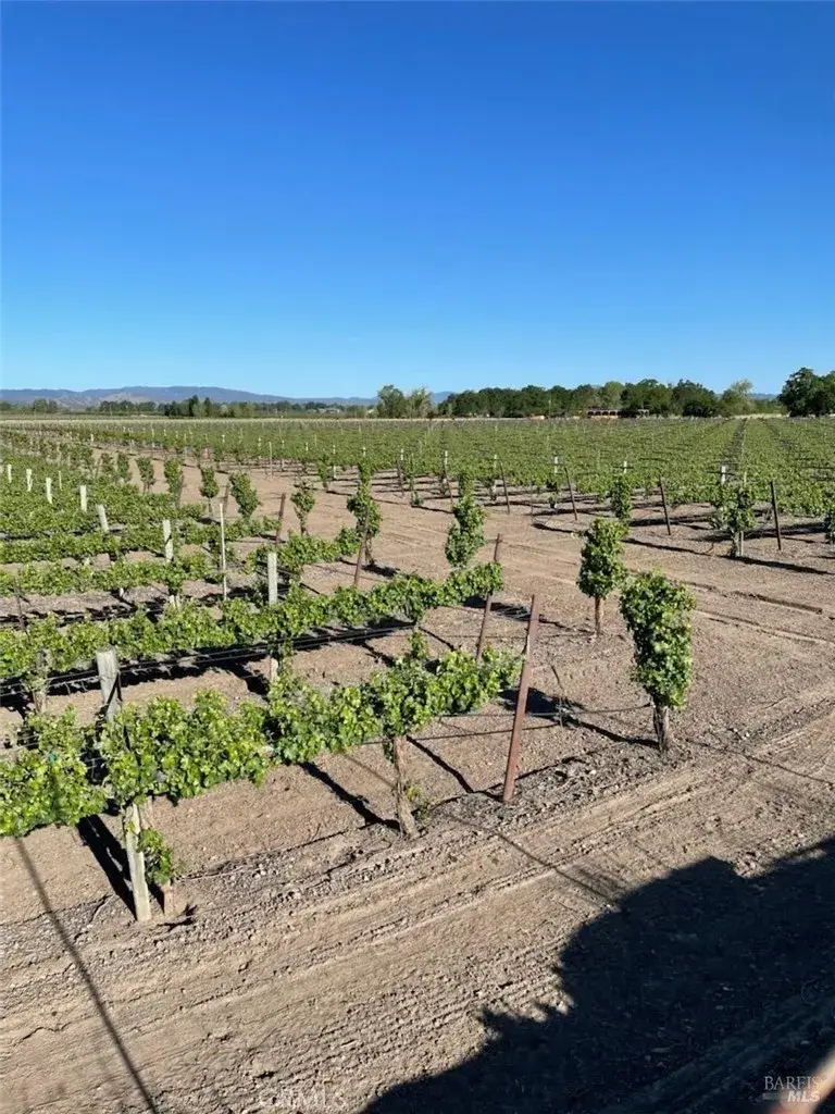 4150 Gaddy, Kelseyville, CA 95451 - Image #3