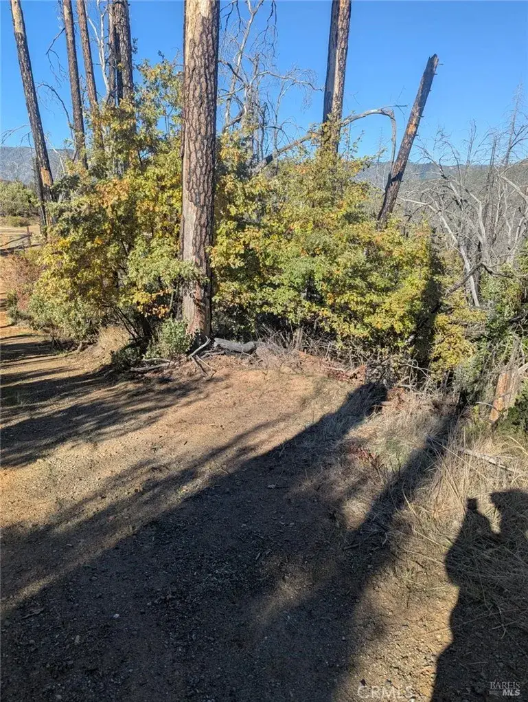 1833 Hunter Point Rd, Upper Lake, CA 95485 - Image #3