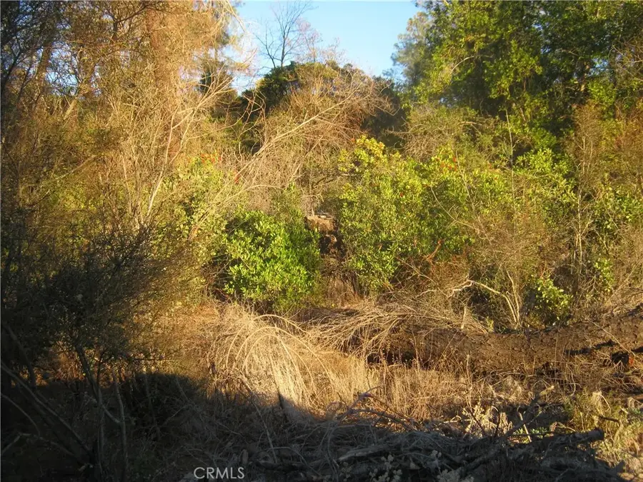 9000 S State Highway 29, Lower Lake, CA 95457 - Image #3