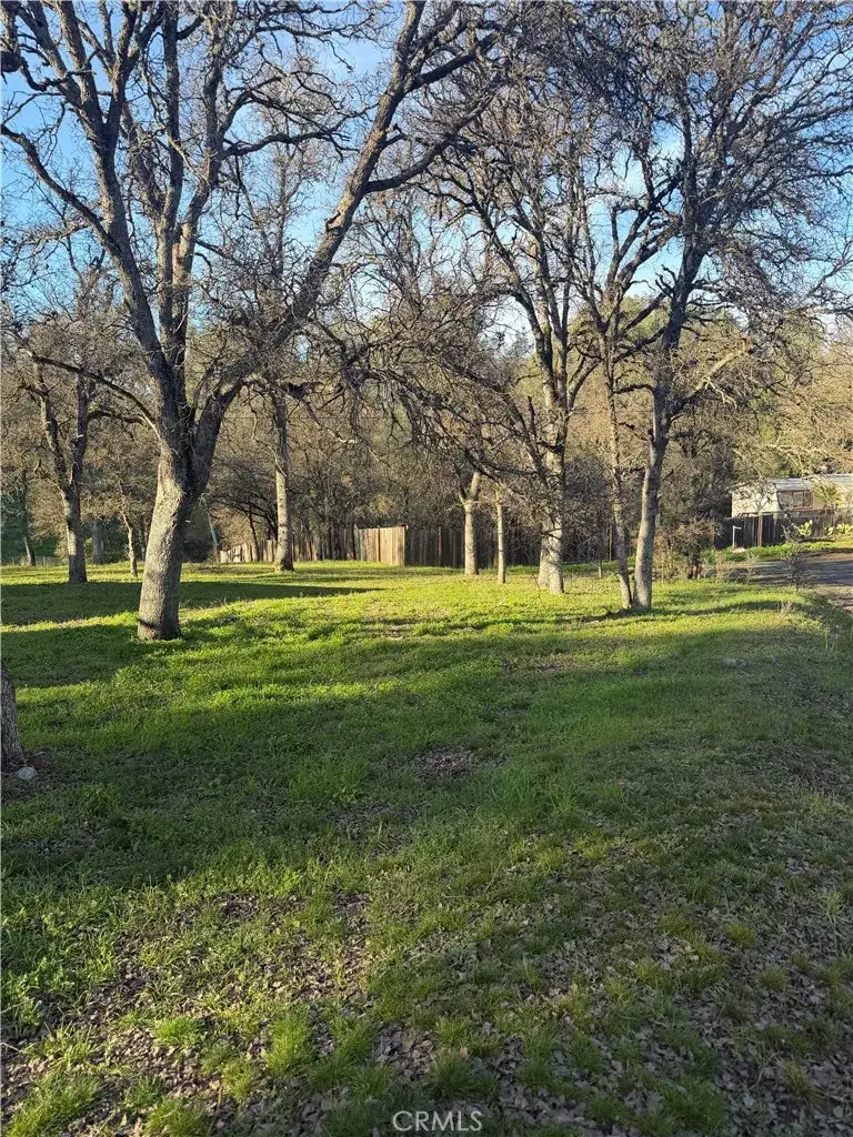 15545 Pine, Clearlake, CA 95422 - #2