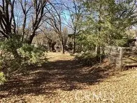 7672 Highway 29, Kelseyville, CA 95451 - #3