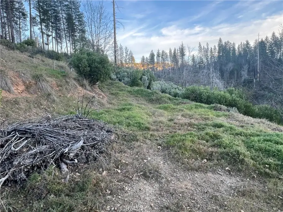 16709 Starview Loop, Cobb, CA 95426 - #3