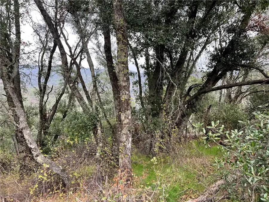 7166 Butte, Nice, CA 95464 - #3