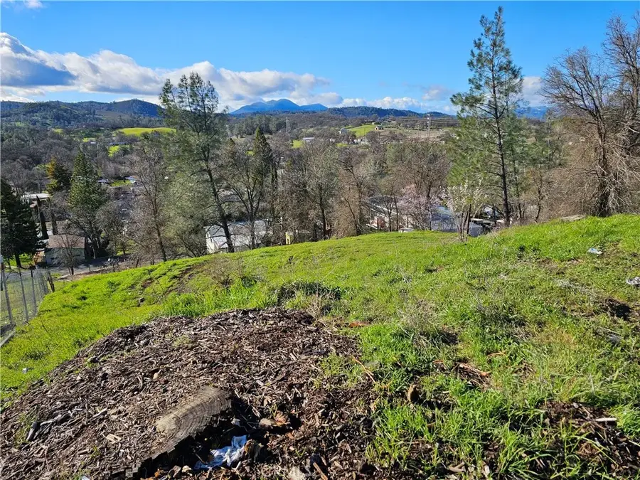 10167 Bell South, Lower Lake, CA 95457 - #2