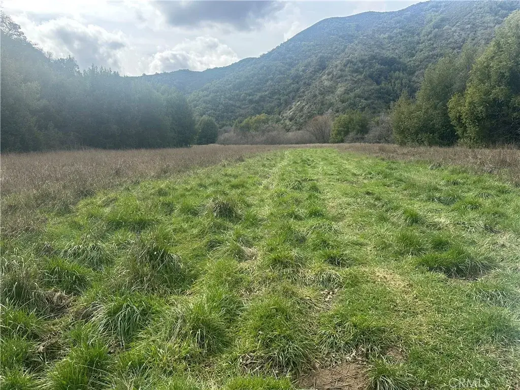 9000 Scotts Valley, Upper Lake, CA 95485 - #1