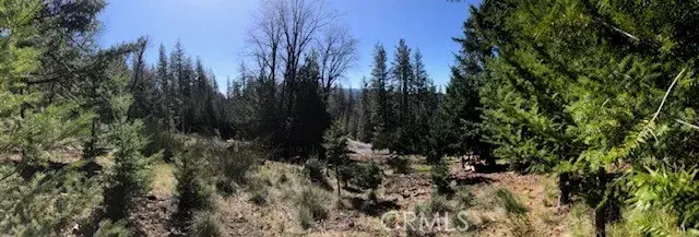 8713 Fox, Cobb, CA 95426 - #1