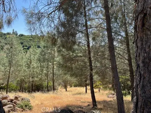 10353 Walnut, Kelseyville, CA 95451 - #1