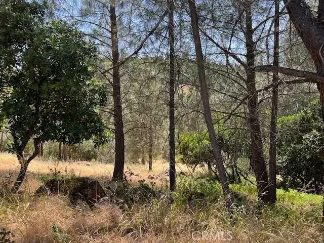 10353 Walnut, Kelseyville, CA 95451 - #2