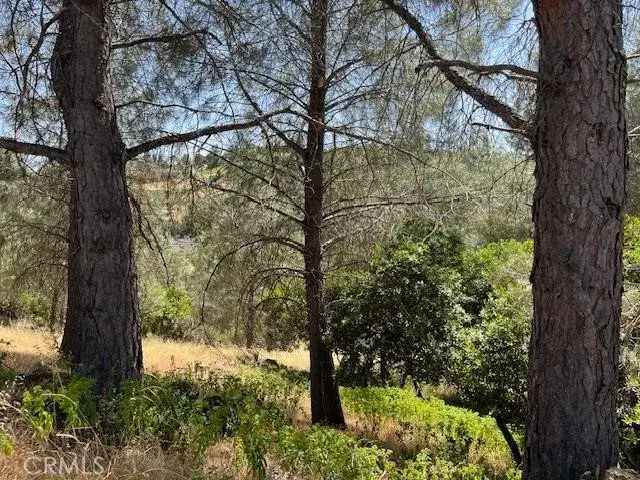 10353 Walnut, Kelseyville, CA 95451 - #3