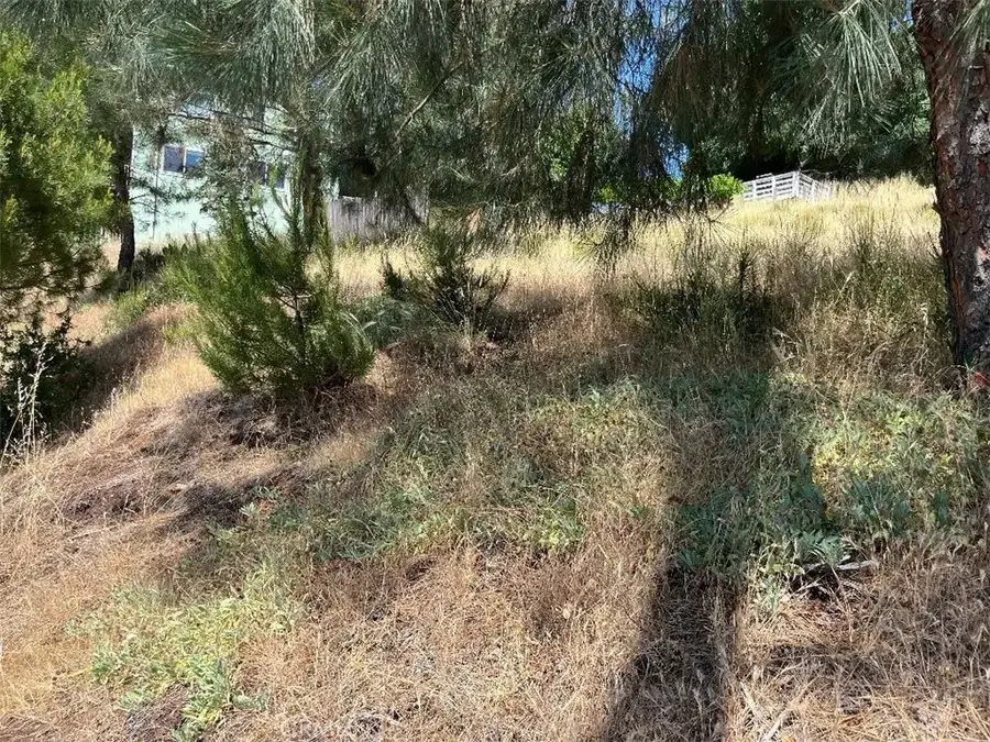 6925 Echo, Kelseyville, CA 95451 - #2