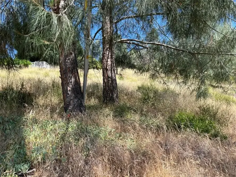 6925 Echo, Kelseyville, CA 95451 - #3