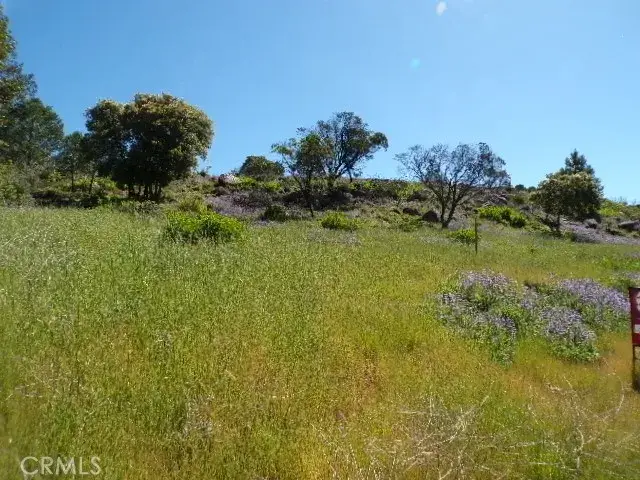 10450 Sunset Ridge, Kelseyville, CA 95451 - #2