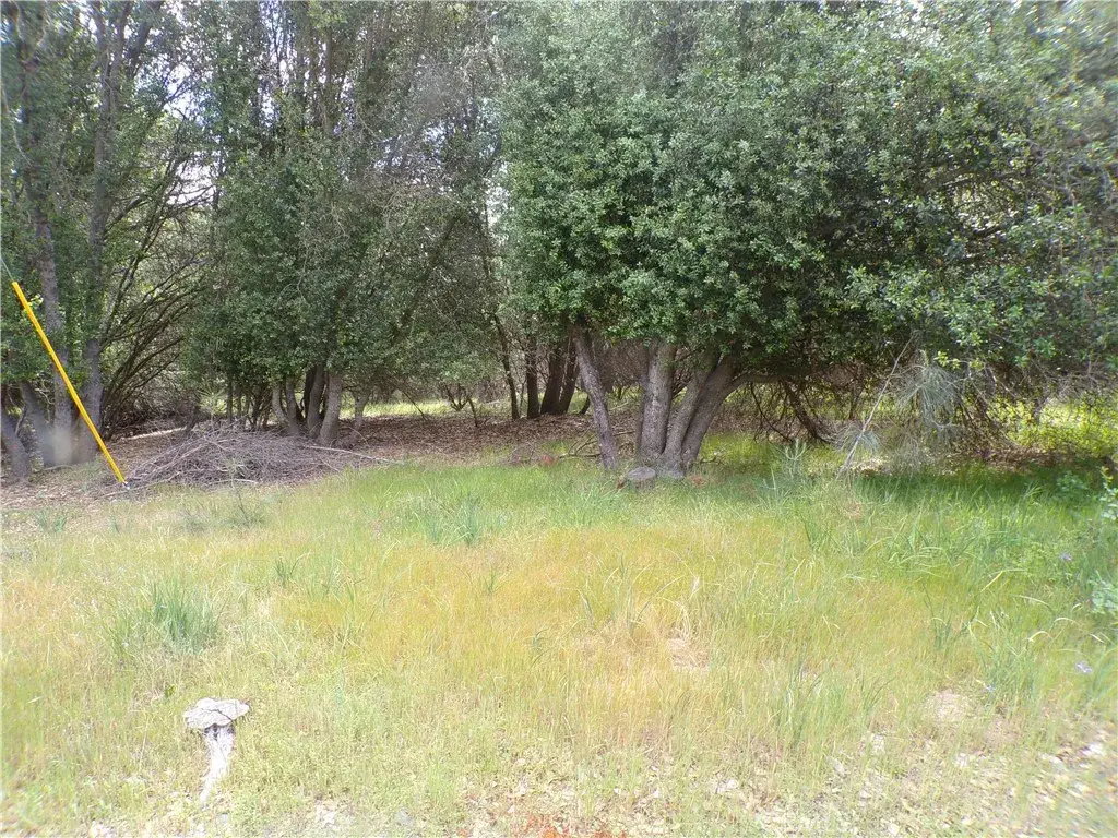 17472 Cache Creek, Clearlake Oaks, CA 95423 - #1