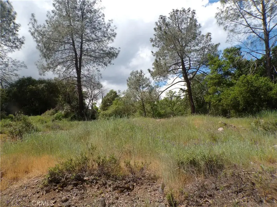 14304 Redbud, Clearlake, CA 95422 - #3
