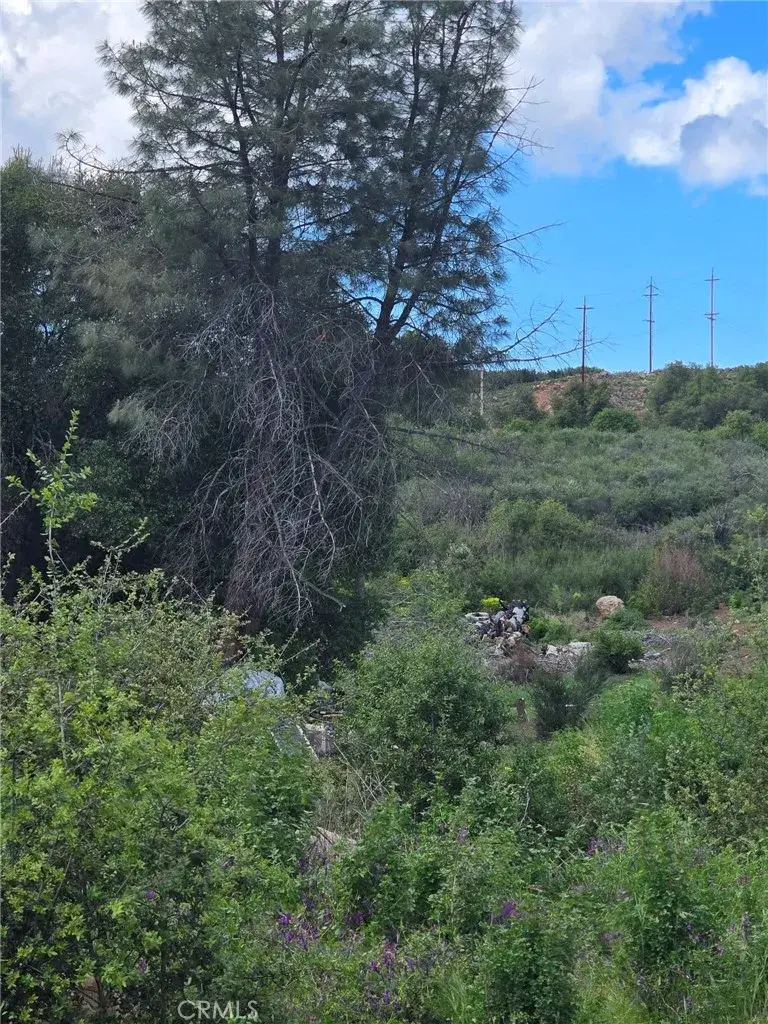 16351 6th, Clearlake, CA 95422 - #1