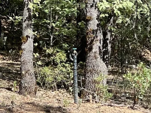 9208 Diamond Dust, Kelseyville, CA 95451 - #1