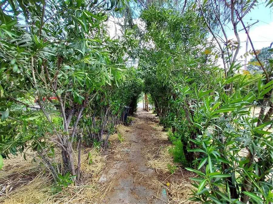 3385 12th, Clearlake, CA 95422 - #3