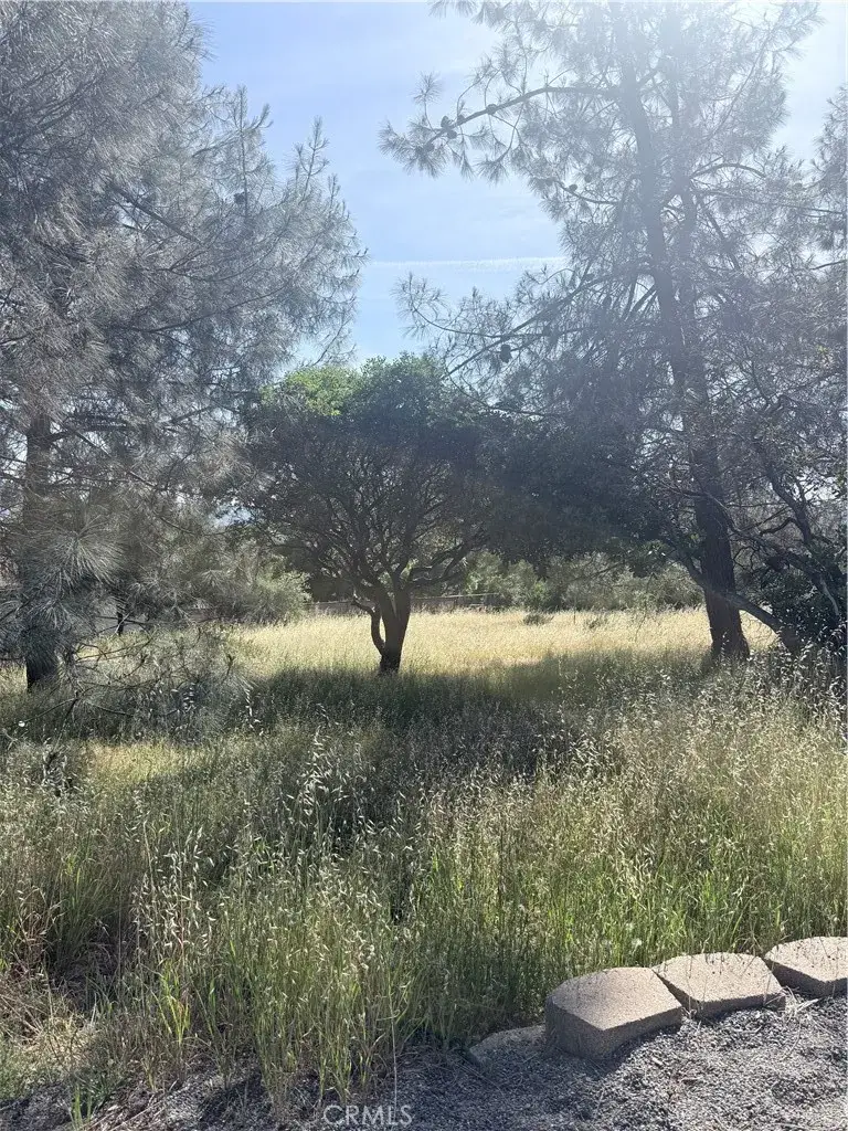 19303 Ravenhill, Hidden Valley Lake, CA 95467 - #1