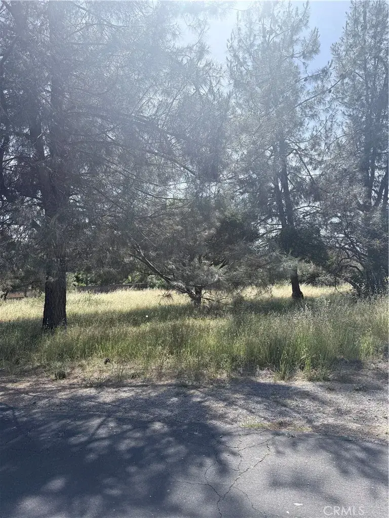 19303 Ravenhill, Hidden Valley Lake, CA 95467 - #2