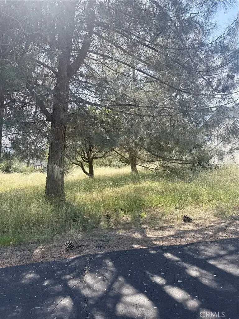 19303 Ravenhill, Hidden Valley Lake, CA 95467 - #3