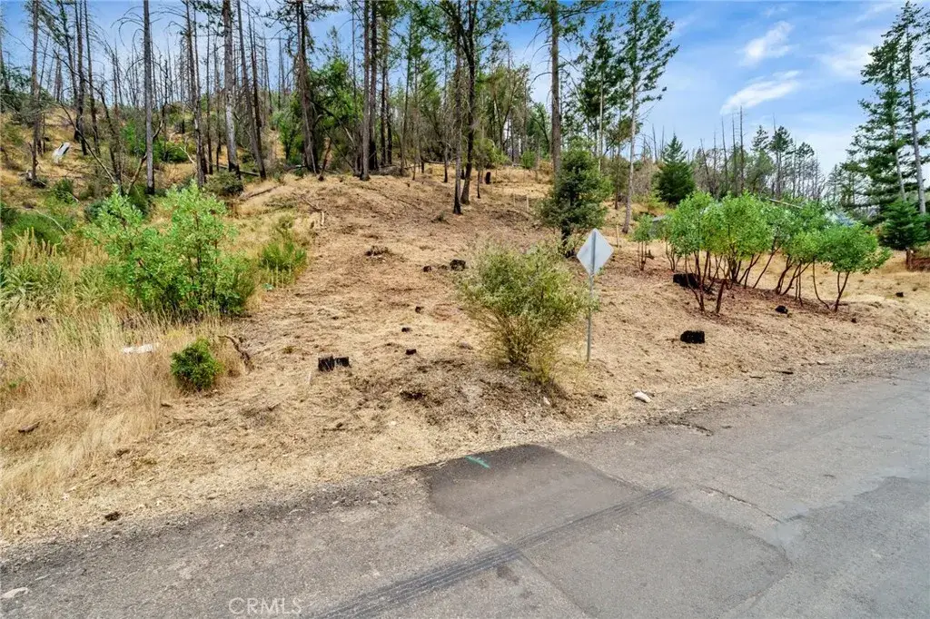 11541 Anderson Springs, Middletown, CA 95461 - #1