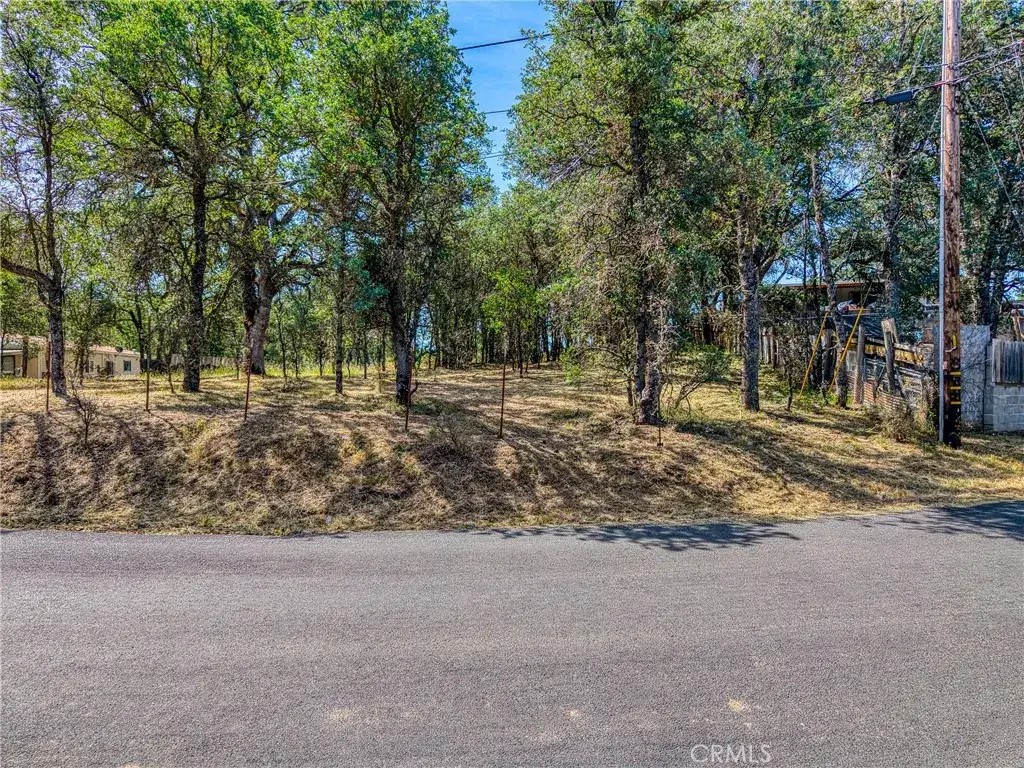 16793 Big Bear, Lower Lake, CA 95457 - #1