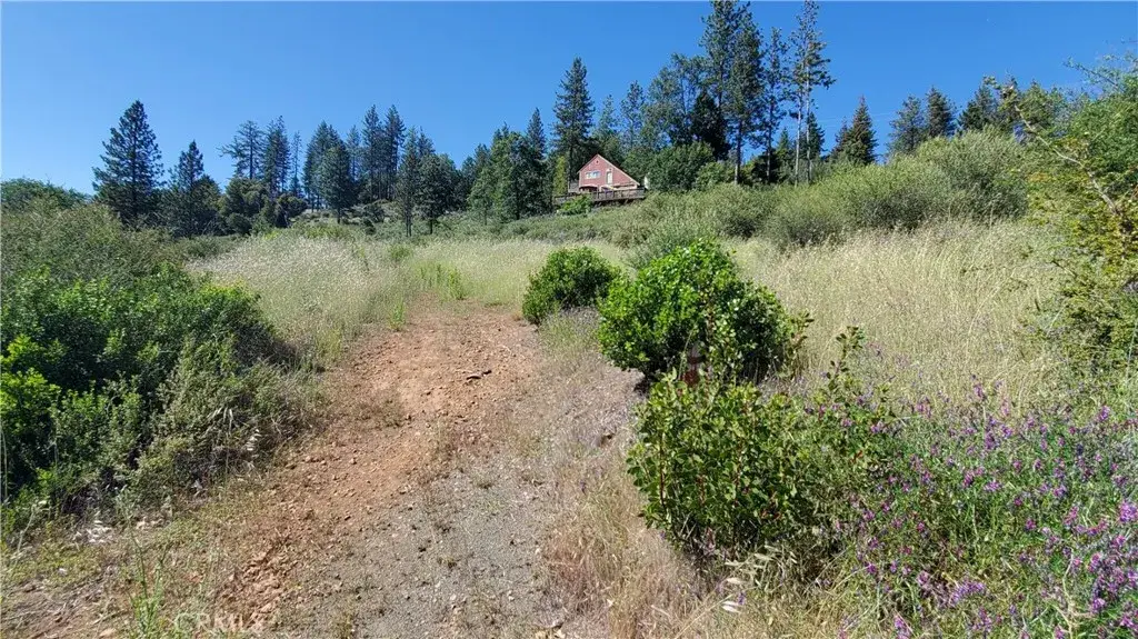 9334 Bleuss, Cobb, CA 95426 - #1