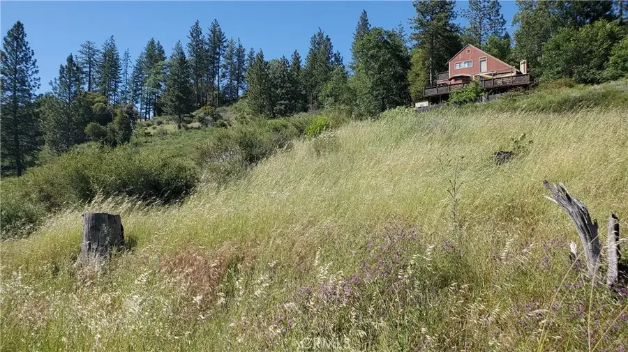 9334 Bleuss, Cobb, CA 95426 - #3