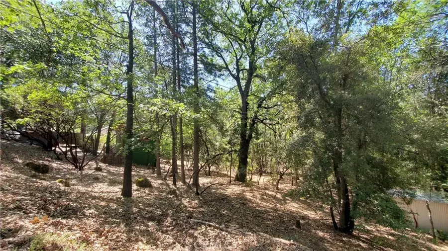 11545 Loch Lomond, Lake, CA 95461 - #3
