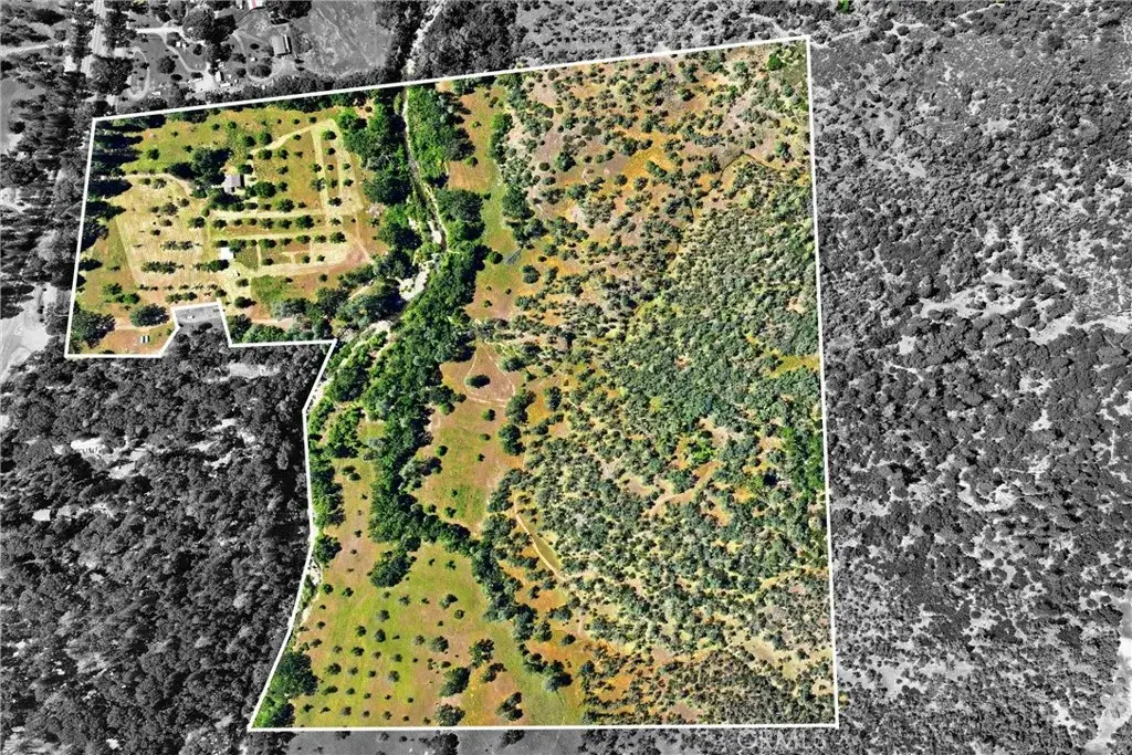 22550 Shady Grove Road, Middletown, CA 95461 - #1