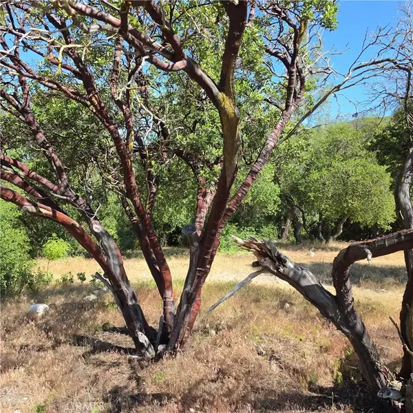 3367 3rd, Clearlake, CA 95422