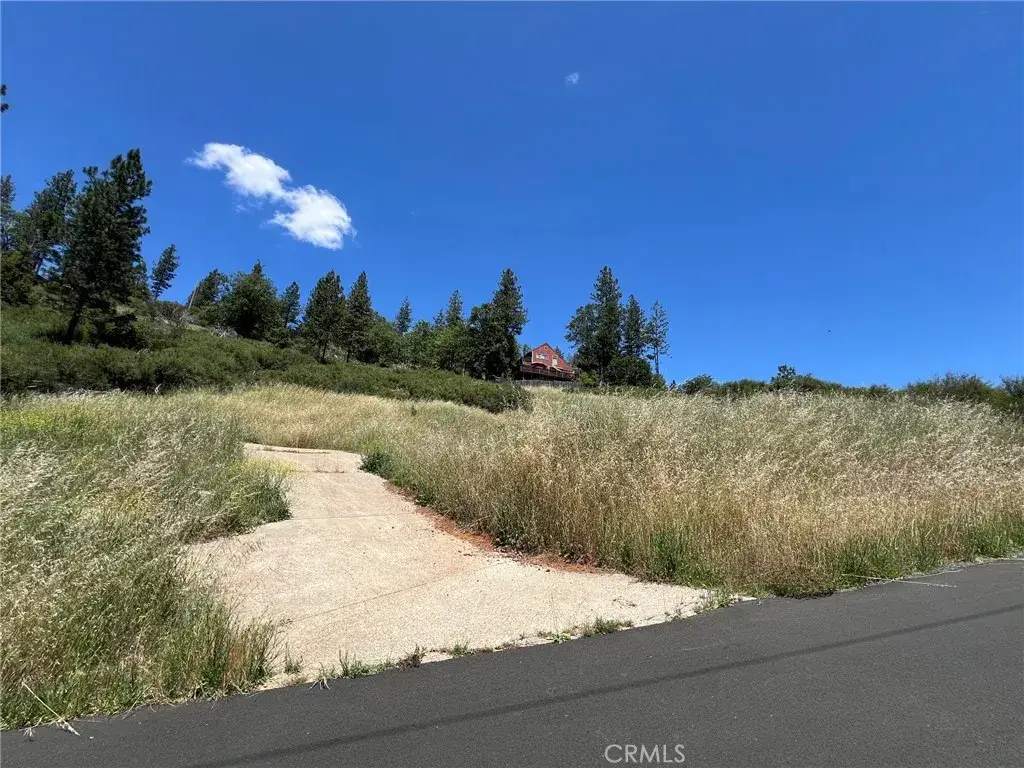 9284 Bleuss, Cobb, CA 95426 - #1